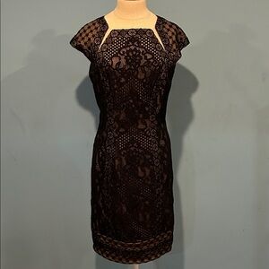 Tadashi Shoji Katori Dress size 8 Black Lace Sheer Tulle Mesh Cocktail Wedding
